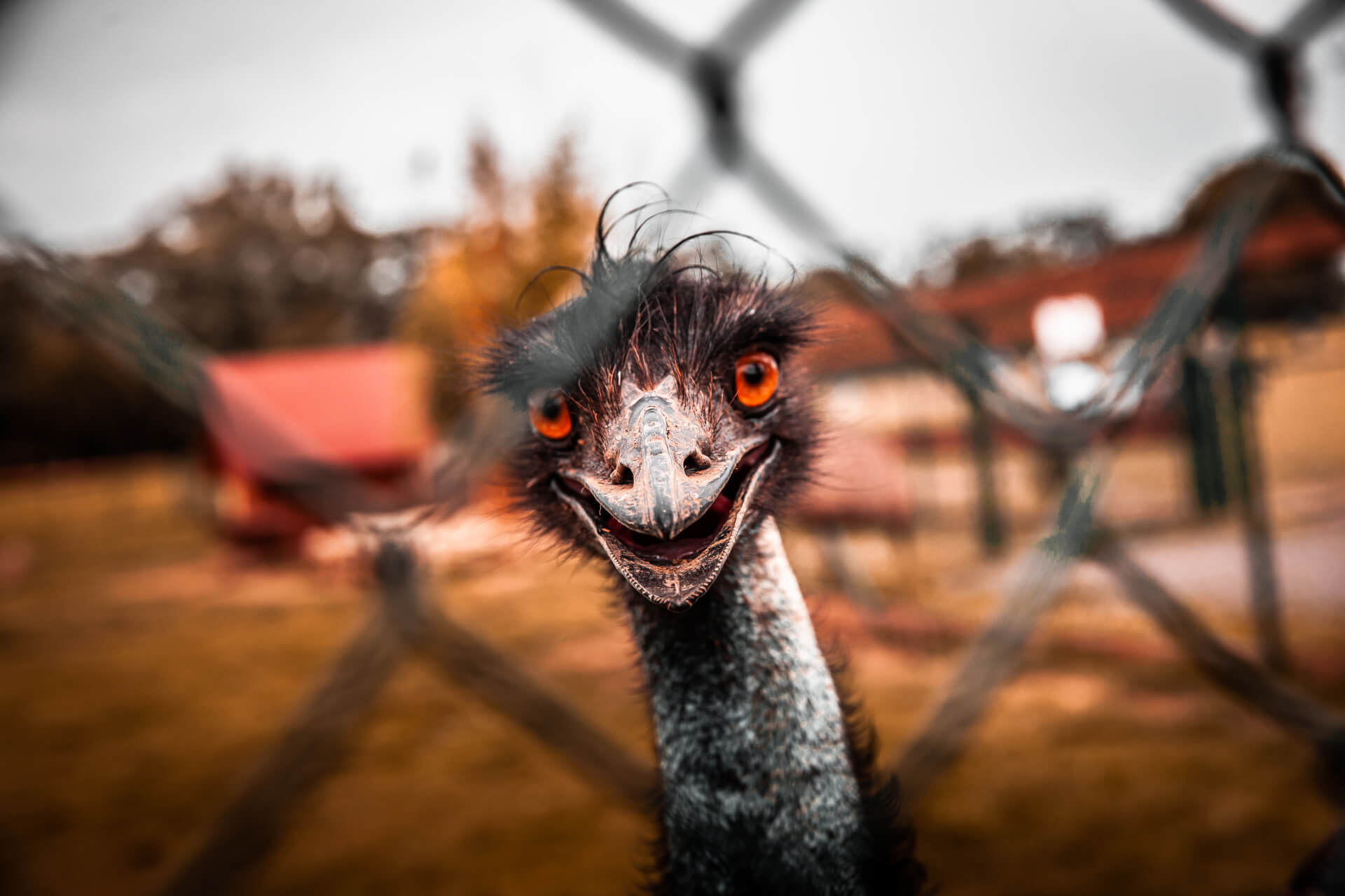 Zoopark Zelčín