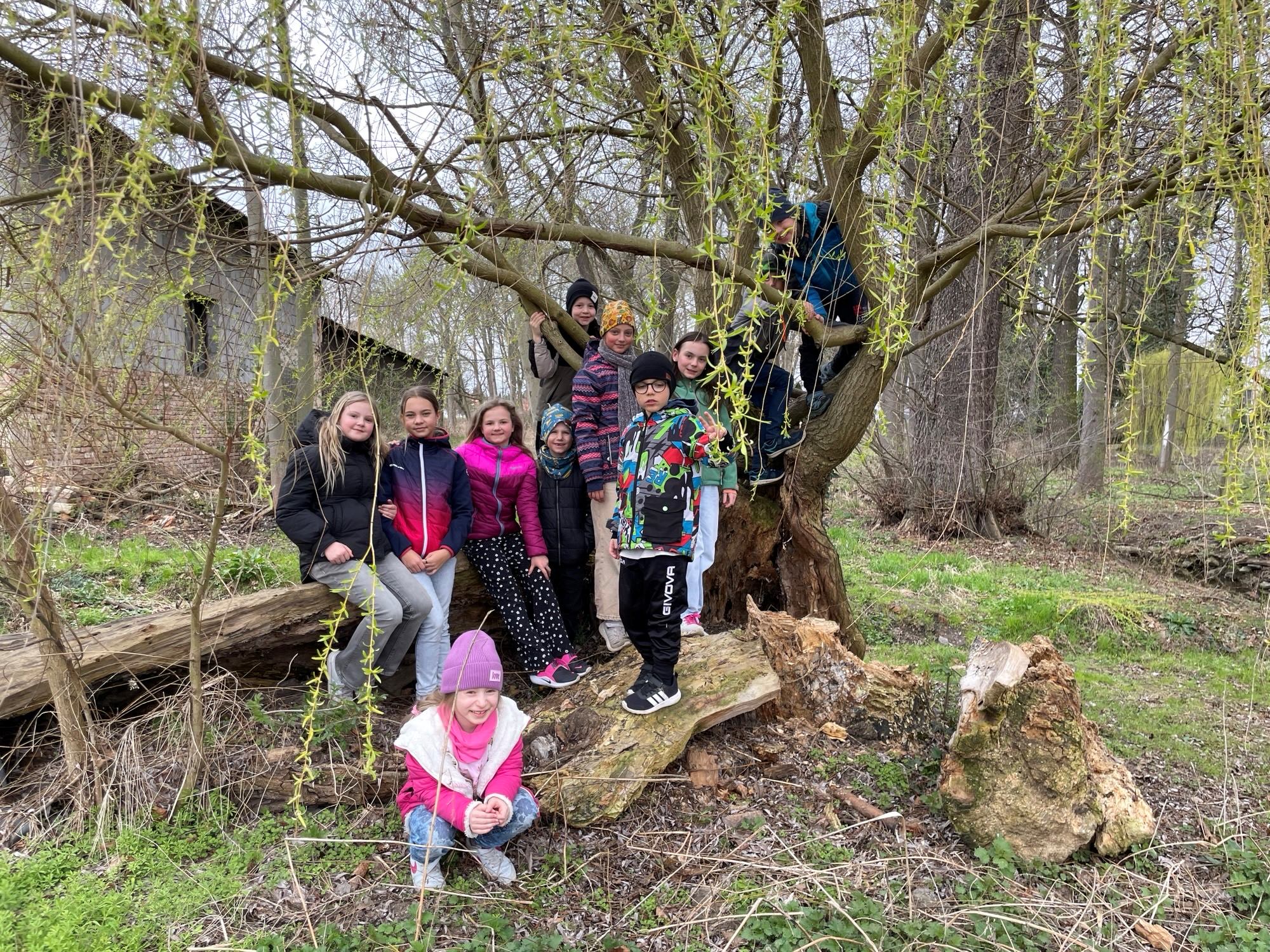 Jaro ve školní družině